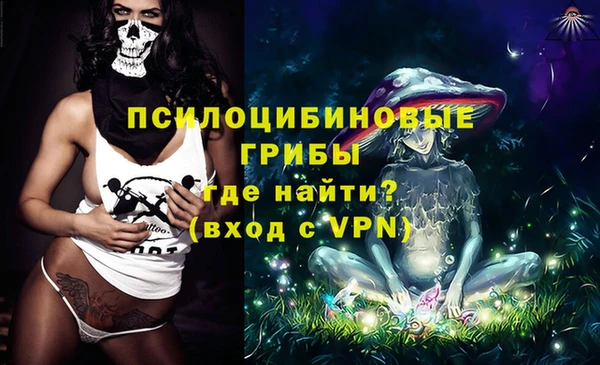 Альфа ПВП Ладушкин