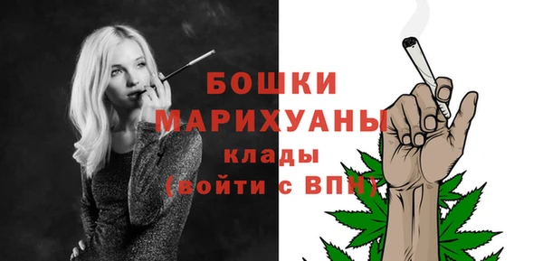 Альфа ПВП Лагань