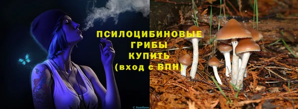Альфа ПВП Лагань