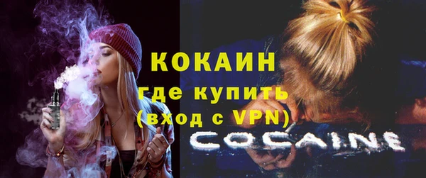 Альфа ПВП Лагань