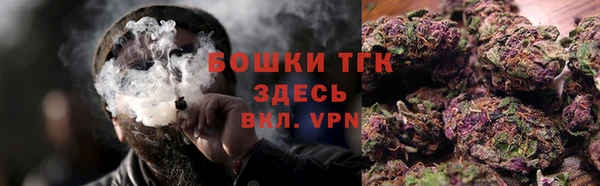 Альфа ПВП Лагань